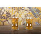 Dubbla vägg glas med handtag  (set om 2)